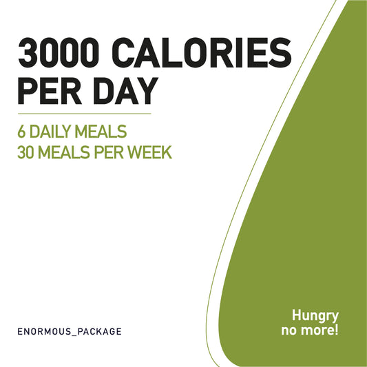 3000 Calories per Day Meal Plan (6 Meals per day)