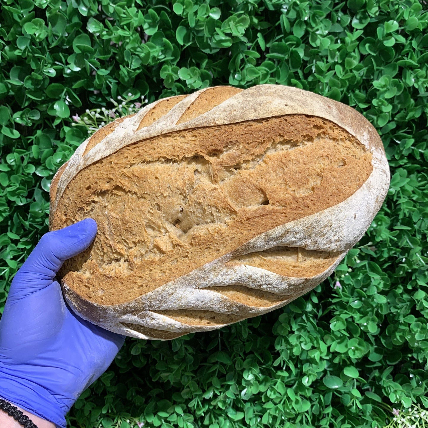 Sourdough Whole Meal Bread - Healthier Bakery